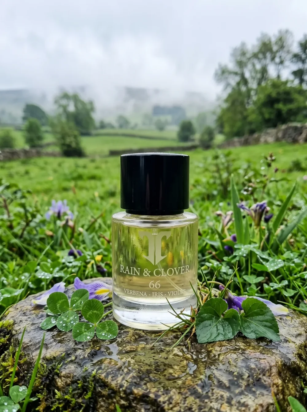 Rain & Clover – Atelier T Eau de Parfum with its key notes