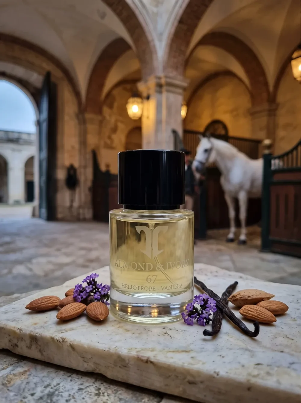 Almond & Ivory – Atelier T Eau de Parfum with its key notes