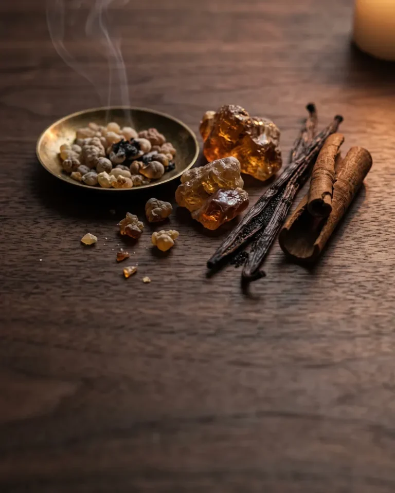 Amber olfactory family ingredients