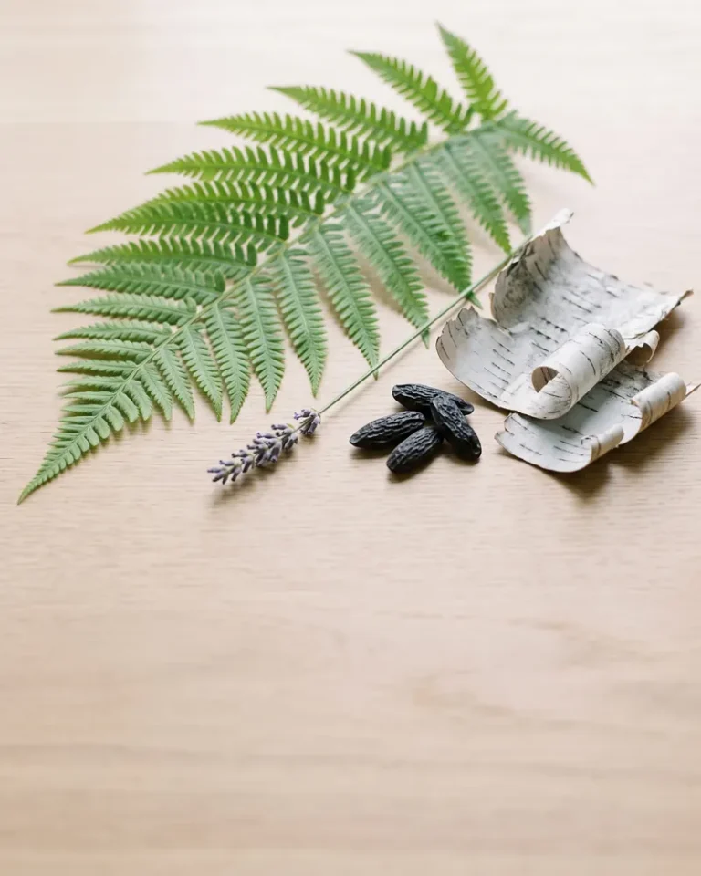 Fern olfactory family ingredients